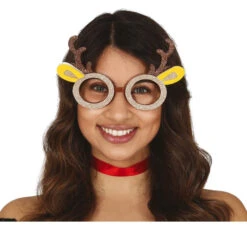 Lunettes De Renne De Noël Drôles