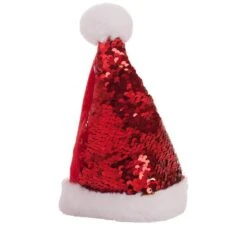 Petit Casquette Du Père Noël Avec Paillettes 18 Cm